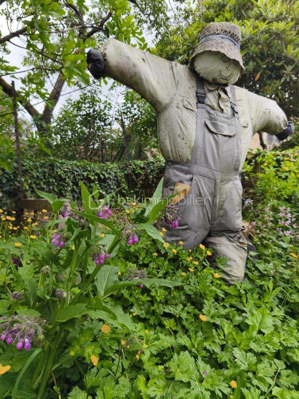 Maison ancienne - 225 m² - 9 pièces