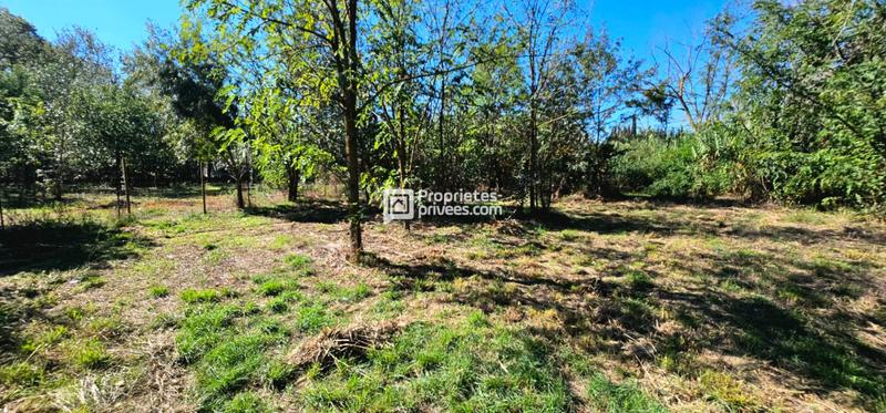 Terrain agricole - 29 154 m²