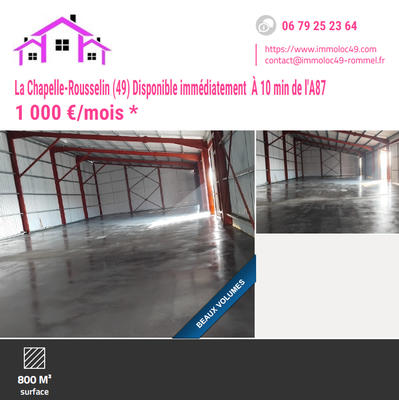 Local d'activité / Entrepôt - 800 m²