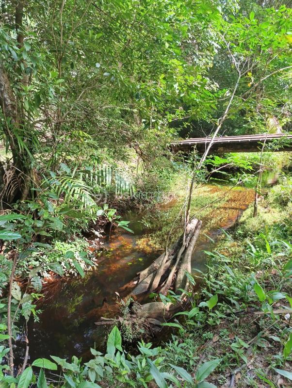 Maison de bois - 110 m² - 5 pièces