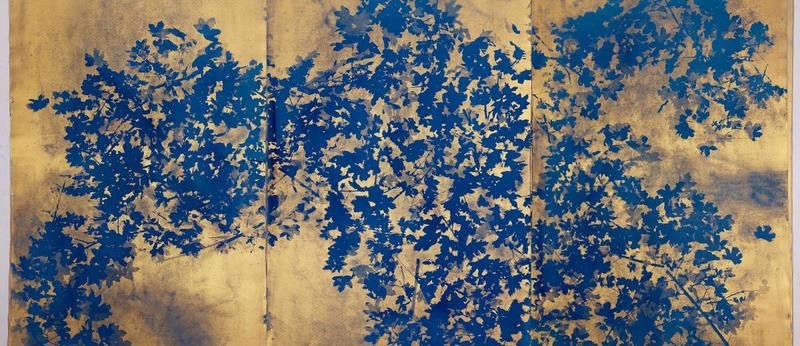 Exposition Chaumont-Photo-sur-Loire