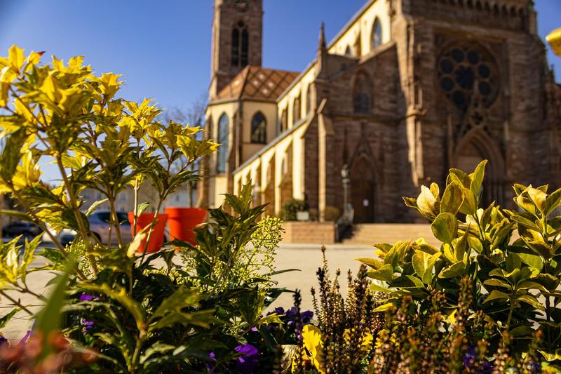 Balade ludique à Cernay