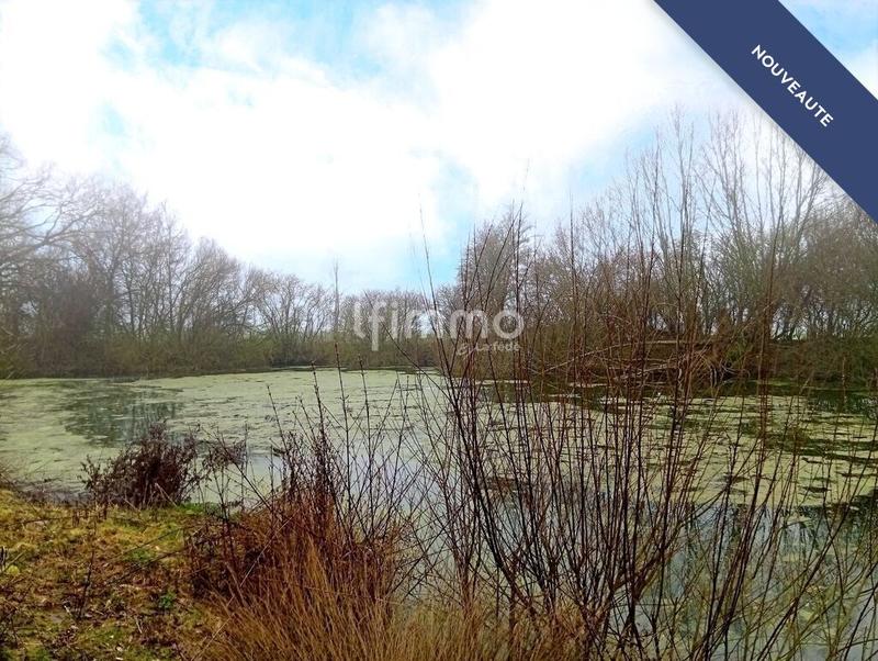 Terrain de loisirs - 3 217 m²