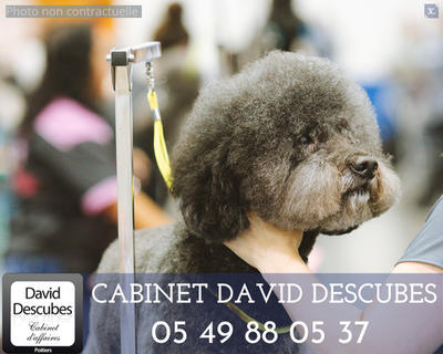 Fonds de commerce - Local commercial - 32 m²