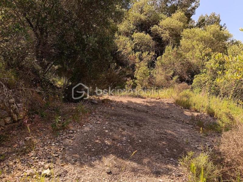 Terrain agricole - 12 490 m²