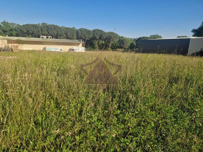 Terrain constructible - 1 069 m²