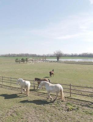 Propriété - 3 000 m² - 30 pièces