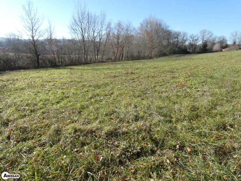 Terrain constructible - 6 500 m²