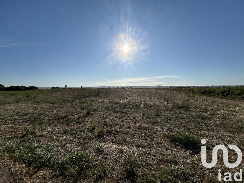 Terrain - 40 000 m²