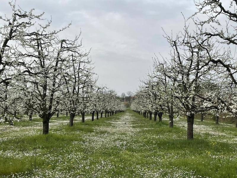 Propriété - 1 pièce