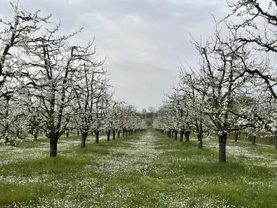 Propriété - 1 pièce