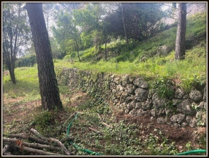 Terrain constructible - 1 557 m²