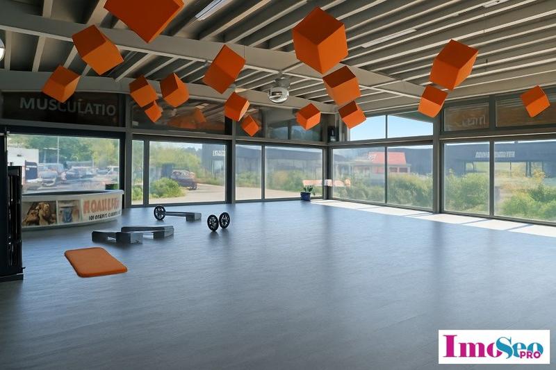 Local d'activité / Entrepôt - 780 m²