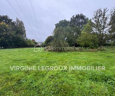 Terrain - 979 m²
