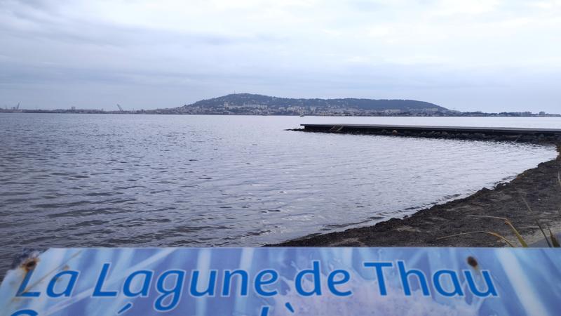 Visite Commentée de Balaruc-Les-Bains avec Divers Uni Vers