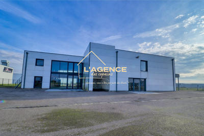 Immeuble - 1 141 m²