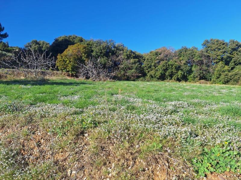 Terrain constructible - 1 559 m²