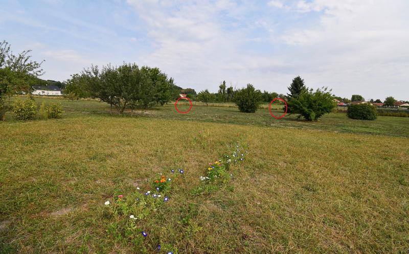 Terrain - 5 060 m²