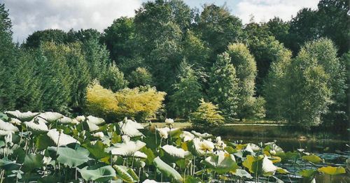 Arboretum d'Al Gaulhia