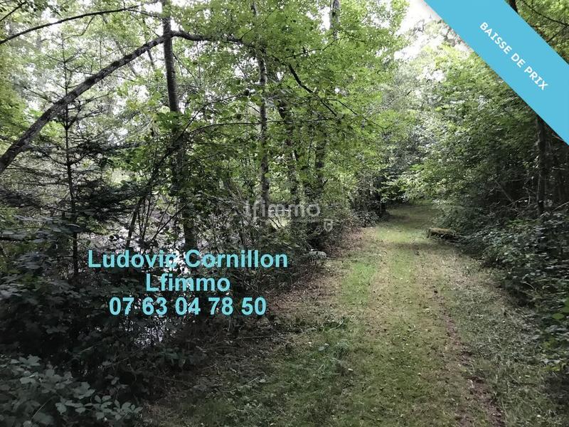 Propriété - 210 m² - 8 pièces