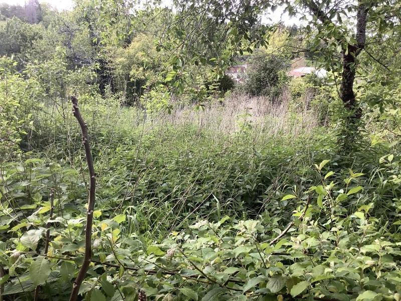 Maison - 140 m² - 7 pièces