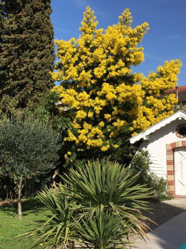 Maison bourgeoise - 235 m² - 6 pièces