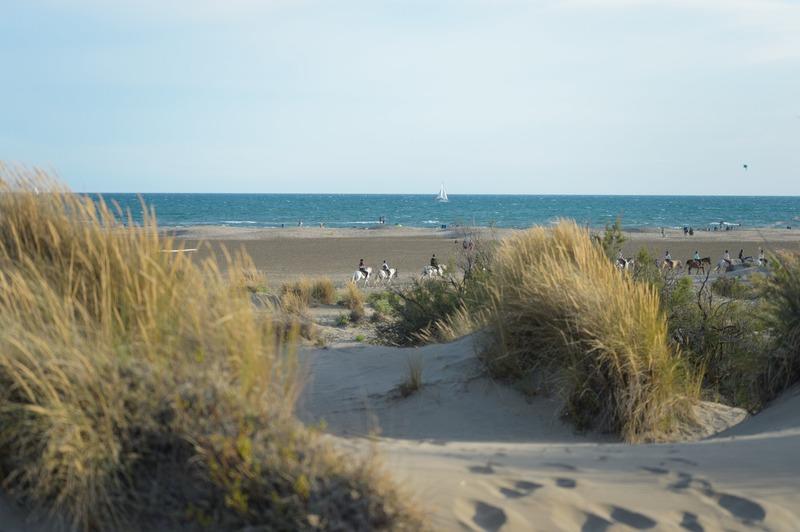 Fonds de commerce - 10 000 m²