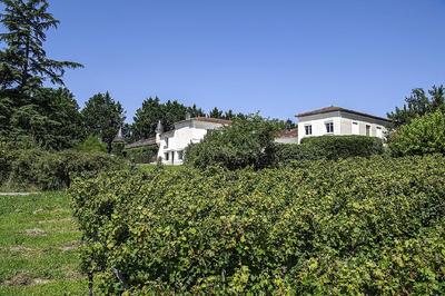 Terrain - 210 000 m²