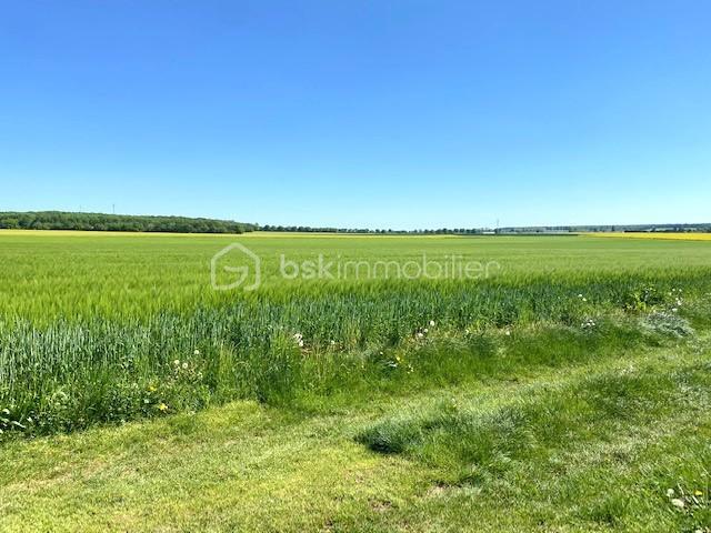 Maison - 141 m² - 6 pièces