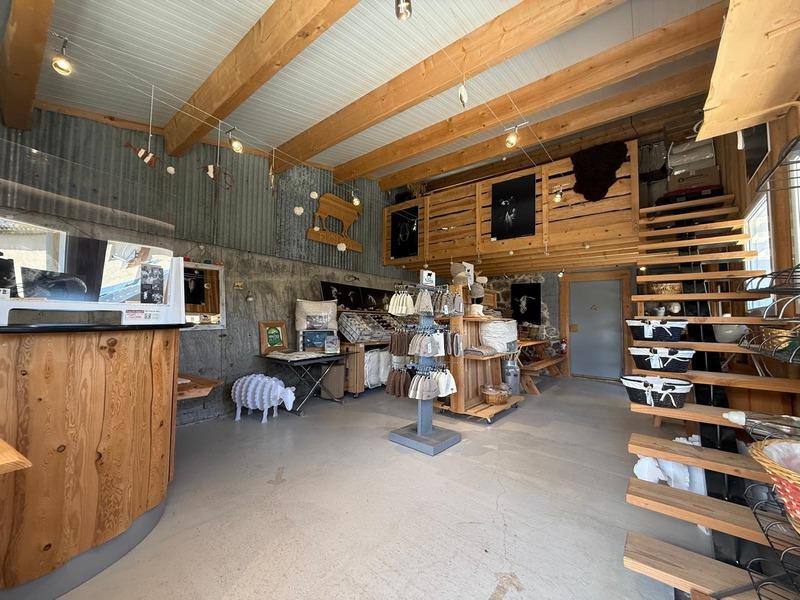 Appartement - 45 m² - 1 pièce