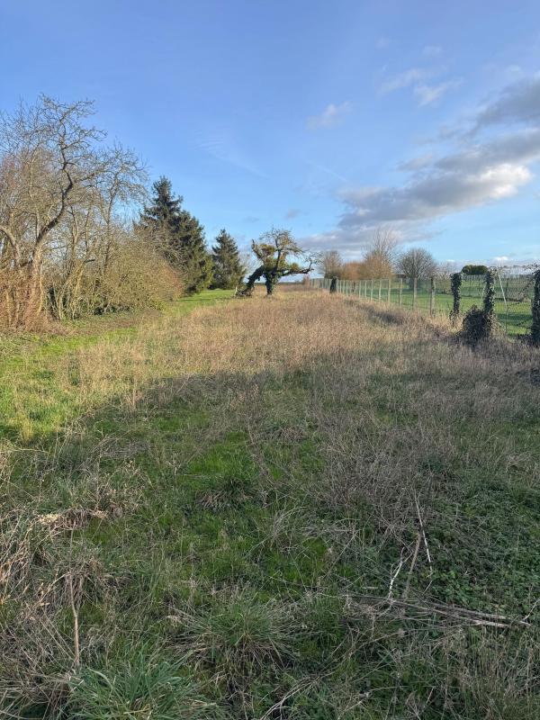 Maison - 50 m² - 2 pièces