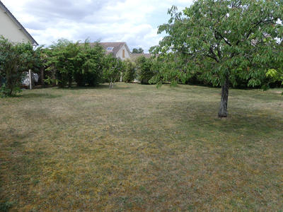 Terrain - 477 m²