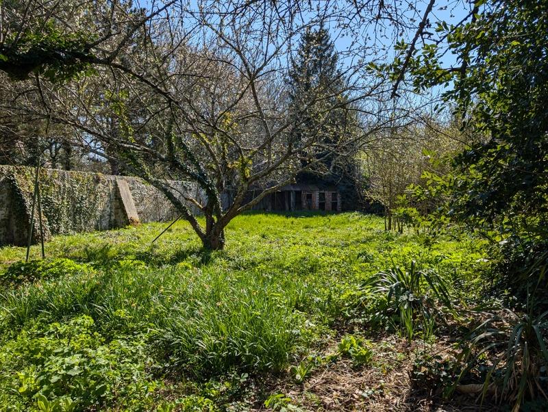 Maison en pierre - 99 m² - 4 pièces