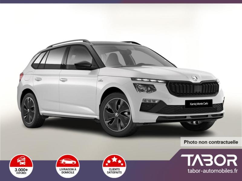 Skoda Kamiq Dsg MonteC Pano Matrix Cam Kessy