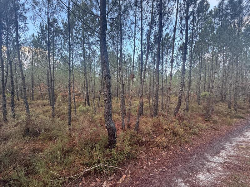 Terrain - 40 400 m²