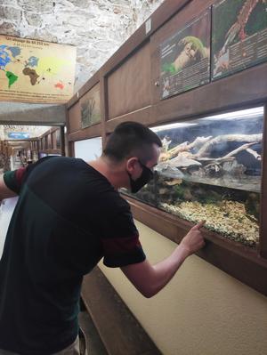 Micro Zoo Saint-Malo