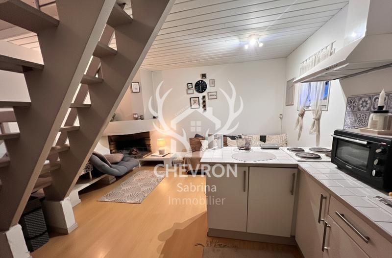 Duplex - 33 m² - 2 pièces