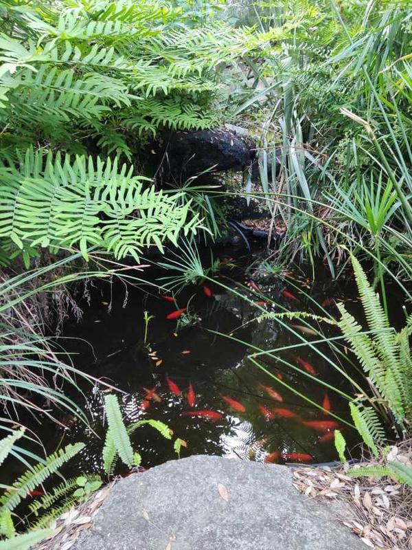 Villa - 127 m² - 10 pièces