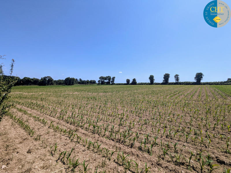 Maison - 140 m² - 2 pièces