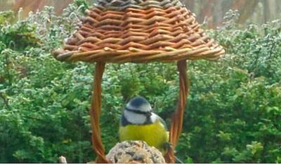 Hiver douillet pour Oiseaux de Jardin