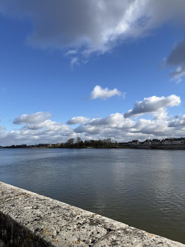 Local commercial - 47 m² - 3 pièces