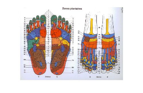Tabesse Aurore Réflexologue