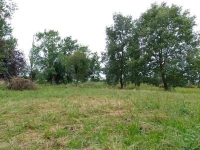 Terrain constructible - 1 920 m²