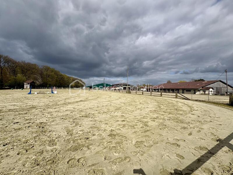 Maison de domaine équestre - 7 786 m² - 7 pièces