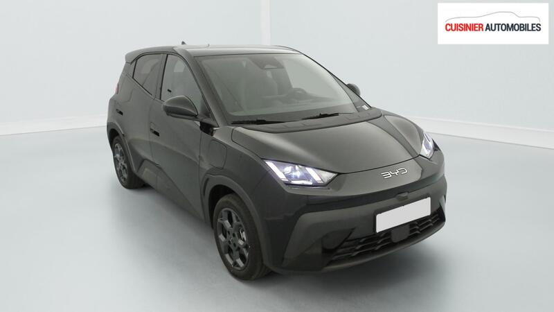 Byd Dolphin Surf 43.2 kWh 156 ch Comfort