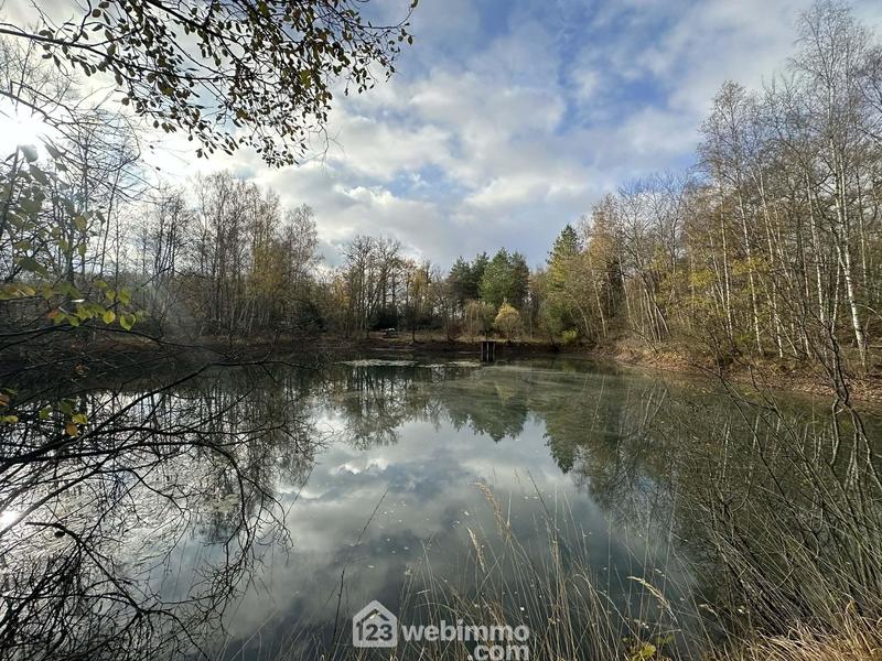 Terrain - 10 450 m²