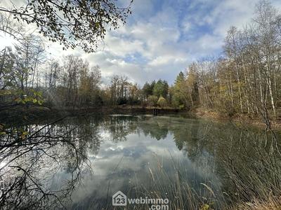 Terrain - 10 450 m²