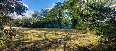 Terrain - 1 263 m²