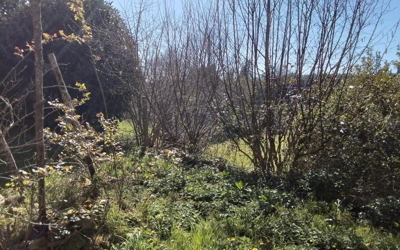 Maison en pierre - 90 m² - 5 pièces