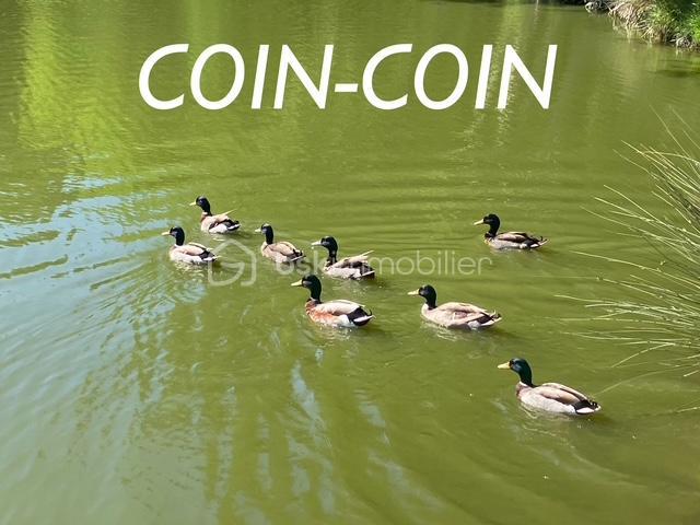 Maison - 79 m² - 3 pièces